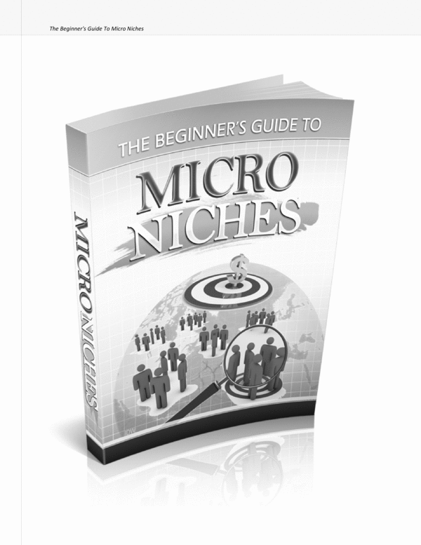 Product picture Newbie Guide to Micro Niches
